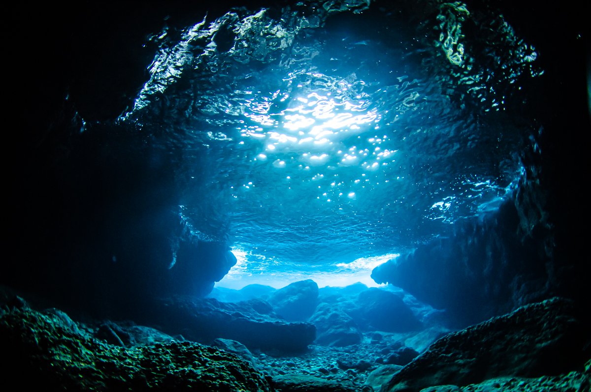 沖縄 ダイビングライセンス