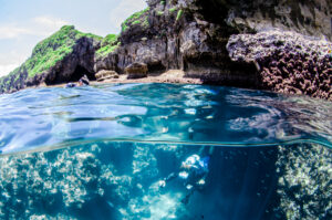 沖縄ダイビングライセンス