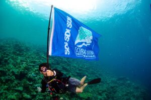 沖縄ダイビングライセンス