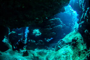 沖縄ダイビングライセンス