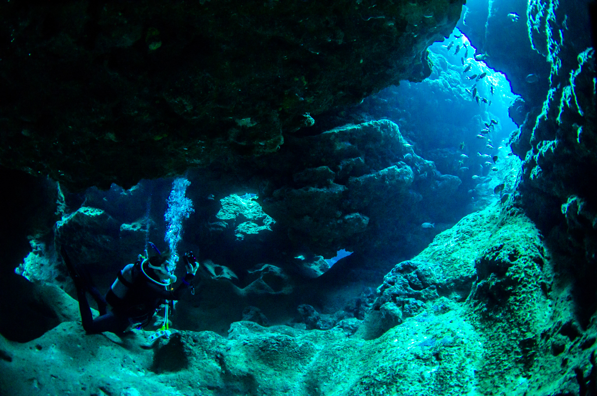 沖縄ダイビングライセンス